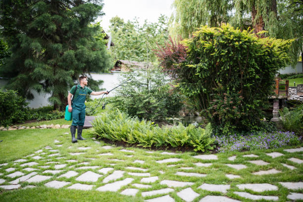 Best Pest Control Near Me  in West Linn, OR
