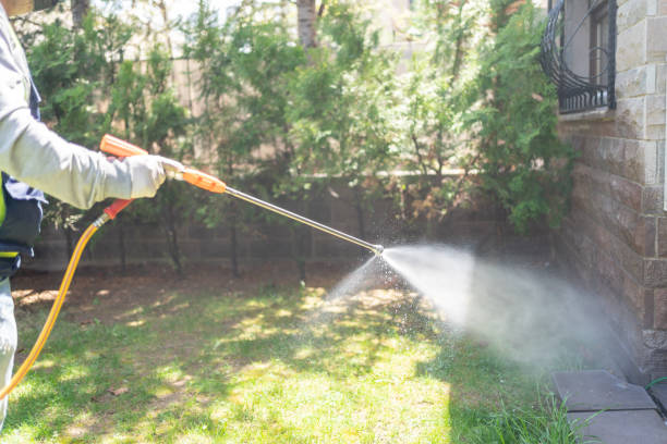 Best Flea Control Services  in West Linn, OR