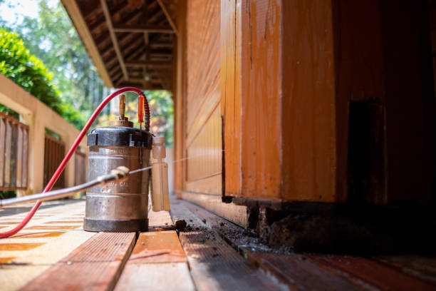 Best Best Pest Control Companies  in West Linn, OR