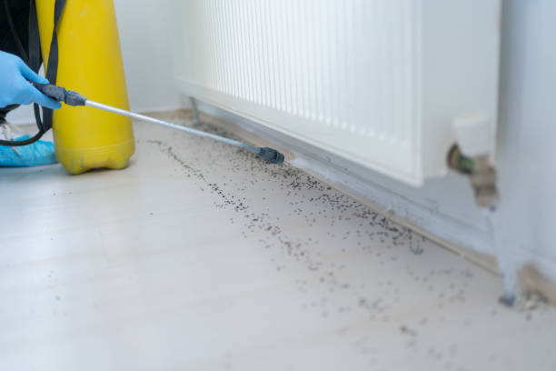 Best Pest Control for Businesses  in West Linn, OR