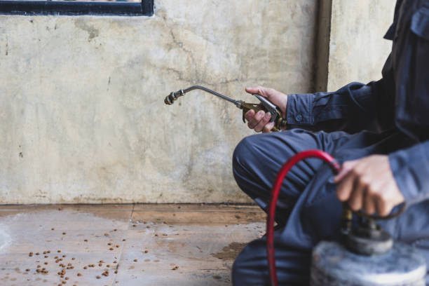 Best Best Pest Control Companies  in West Linn, OR